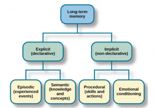 The Memory Systems