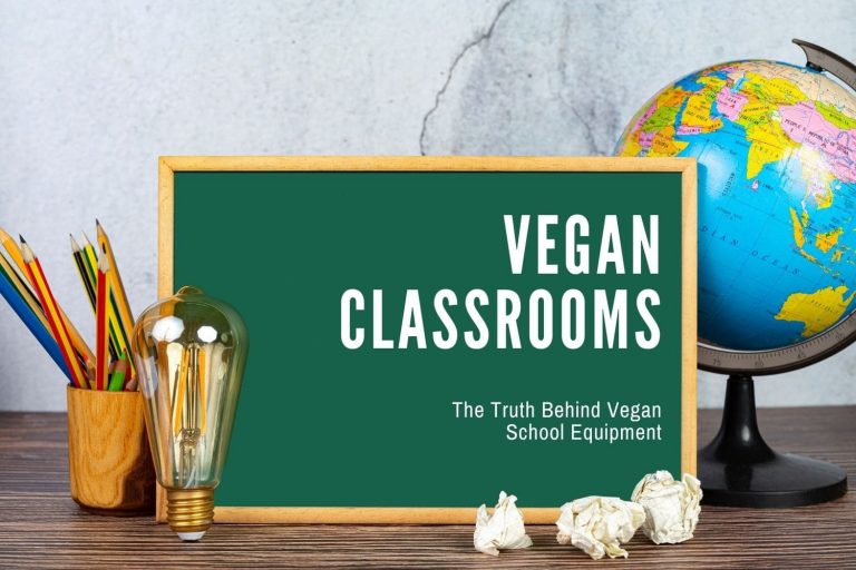 How Vegan are Classrooms? The Truth Behind School Equipment