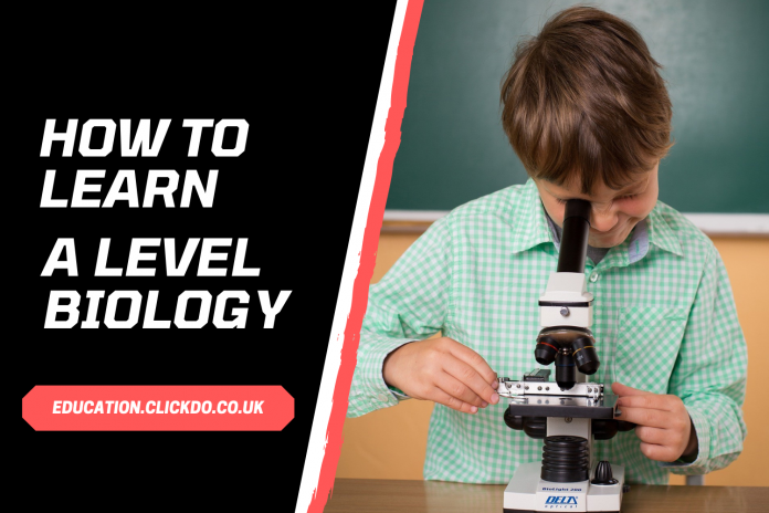 How to Learn A Level Biology