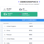 website demographics 2025